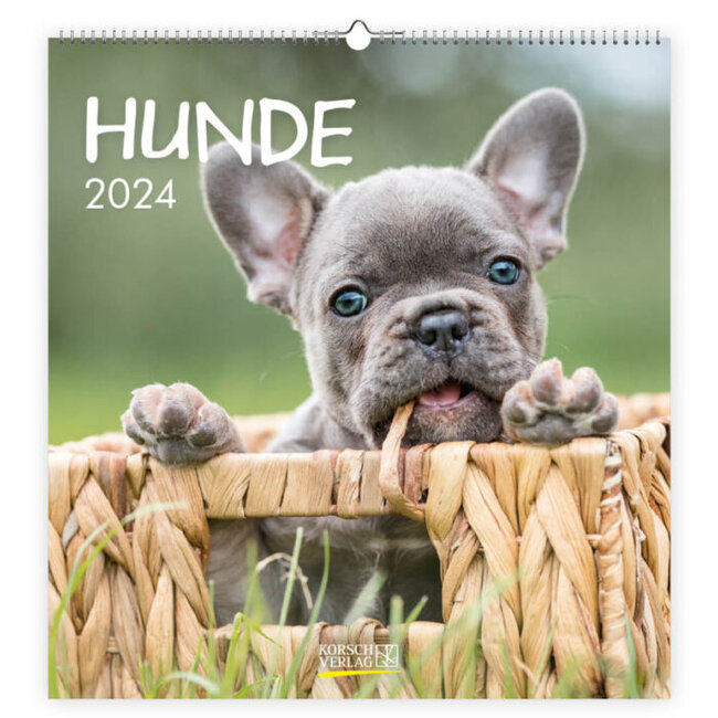 Korsch Verlag Hundekalender 2024