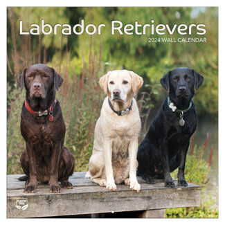 TL Turner Labrador Retriever Kalender 2024