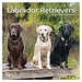 TL Turner Labrador Retriever Calendar 2024