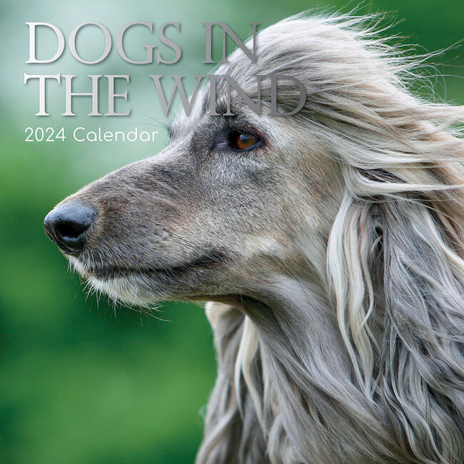 Dogs in the Wind Calendar 2025