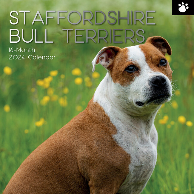 The Gifted Stationary Staffordshire Bull Terrier Calendar 2025