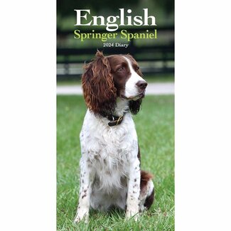 CarouselCalendars Engelse Springer Spaniel Pocket Agenda 2024