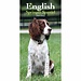 CarouselCalendars English Springer Spaniel Pocket Diary 2025