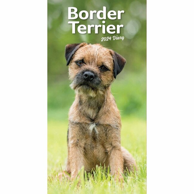 Border Terrier Pocket Diary 2025