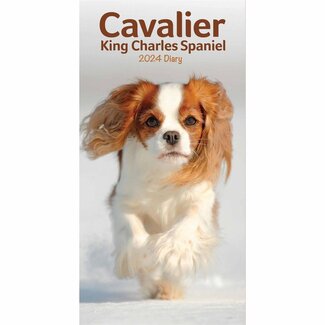 CarouselCalendars Cavalier King Charles Spaniel Pocket Agenda 2024