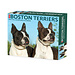 Willow Creek Boston Terrier Calendar 2025 Boxed