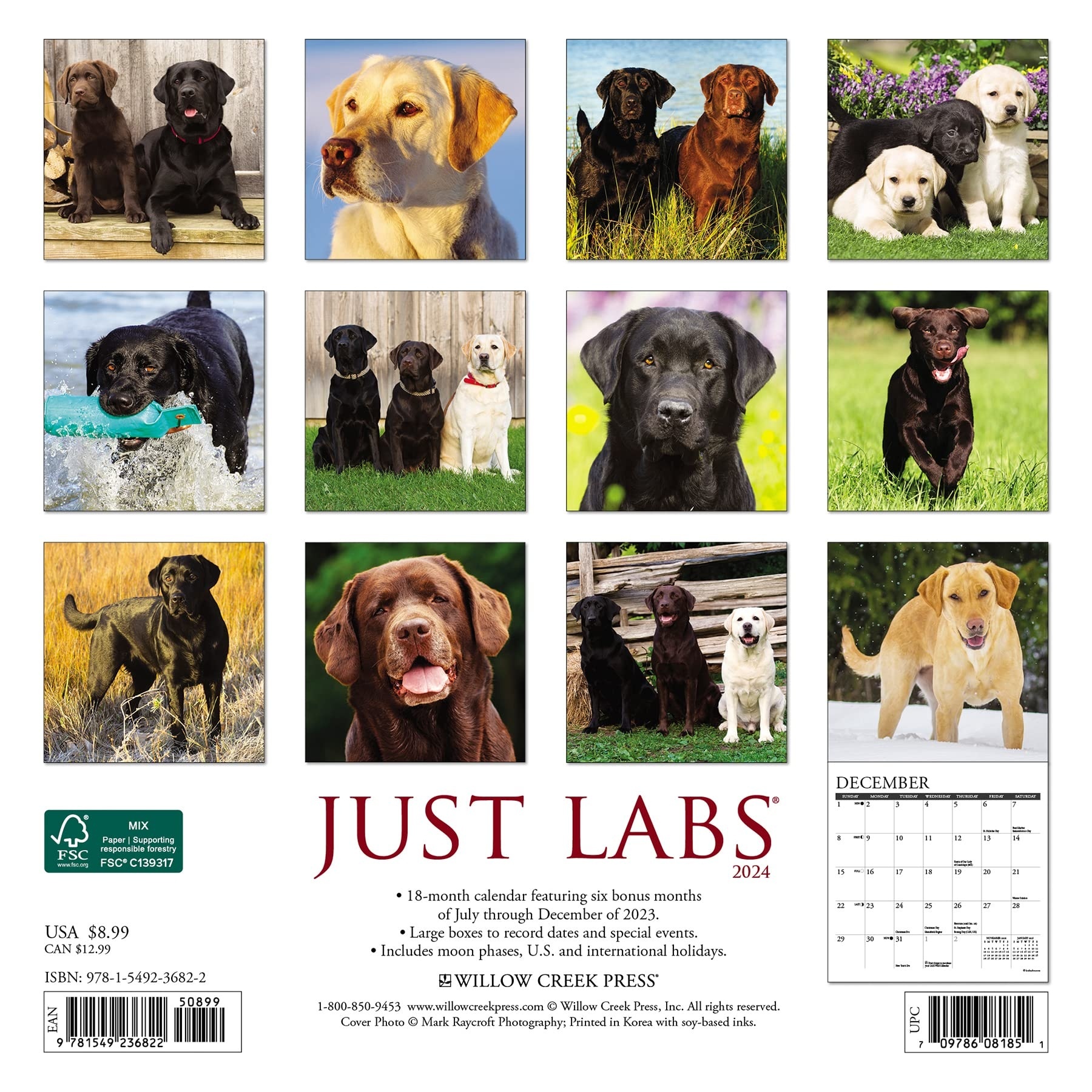 Buy Labrador Retriever Calendar 2024 Mini Order easily online