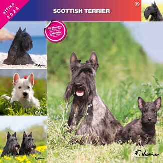 Affixe Editions Scottish Terrier Calendar 2025