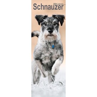 Avonside Schnauzer Kalender 2024 Slimline