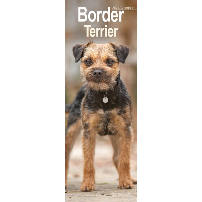 Border Terrier Calendar 2025 Slimline