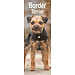 Avonside Border Terrier Kalender 2024 Slimline