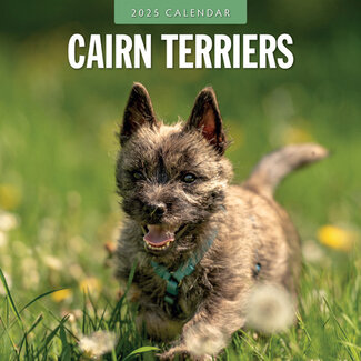 Red Robin Cairn Terrier Calendar 2025