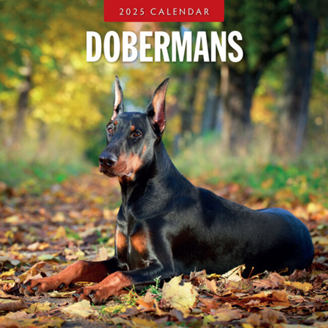 Red Robin Dobermann Calendar 2025