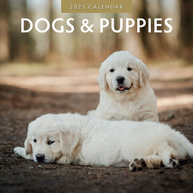 Dogs and Puppies Calendar 2025