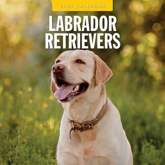 Red Robin Labrador Retriever Mixed Kalender 2025