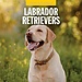 Red Robin Labrador Retriever Mixed Calendar 2025