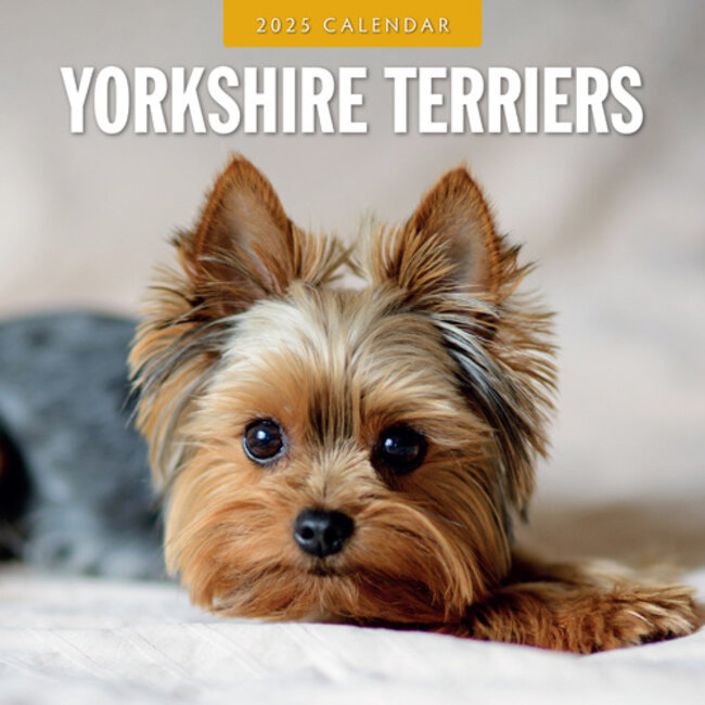 Red Robin Yorkshire Terrier Kalender 2025