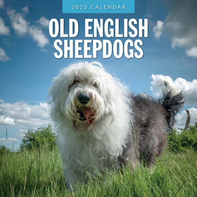 Bobtail / Old English Sheepdog Calendar 2025