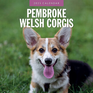 Red Robin Welsh Corgi Pembroke Calendar 2025