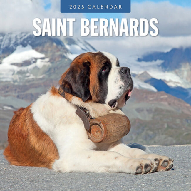 Saint Bernard Calendar 2025