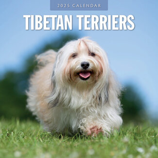 Red Robin Tibetan Terrier Calendar 2025