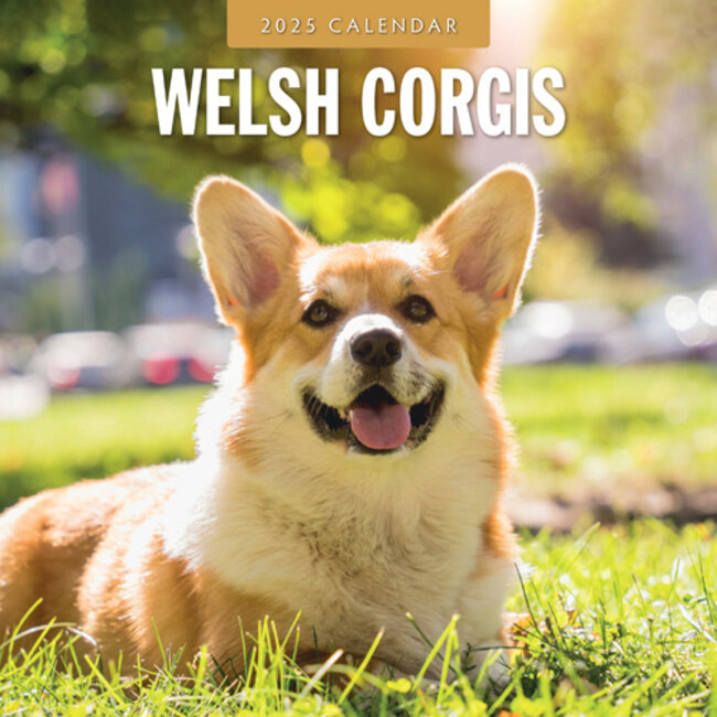 Welsh Corgi Calendar 2025