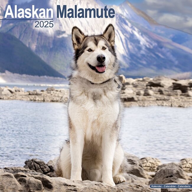 Avonside Alaskan Malamute Calendar 2025