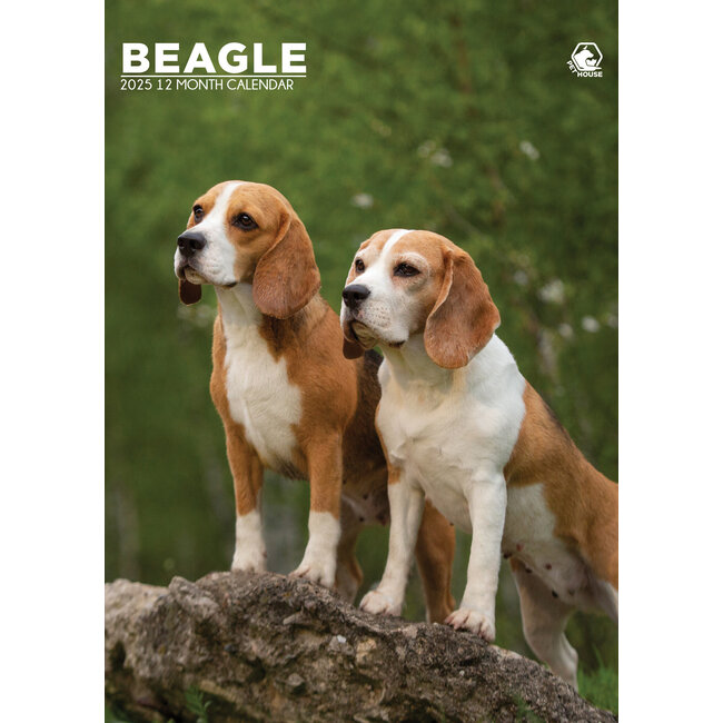 Beagle A3 Calendar 2025
