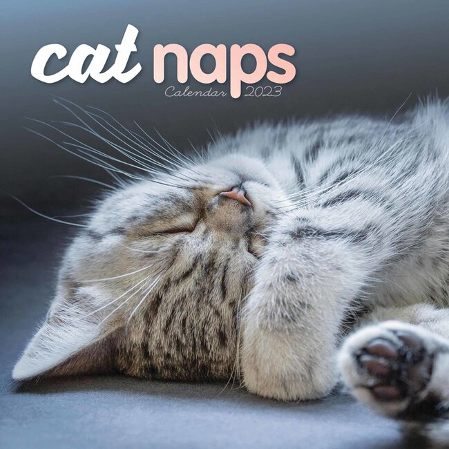 CarouselCalendars Cat Naps Calendar 2024