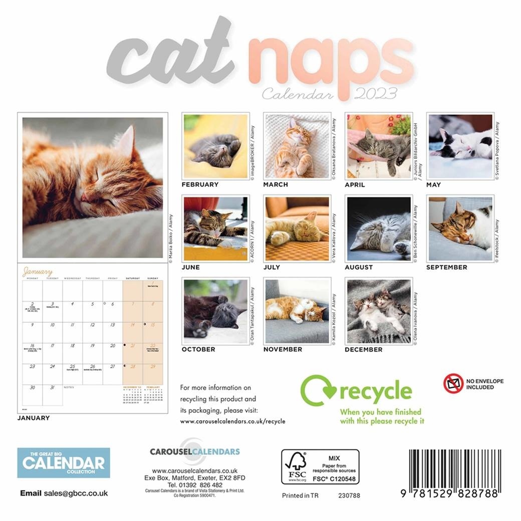 CarouselCalendars Cat Naps Calendar 2024