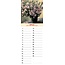 Monet Birthday Calendar