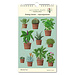 Bekking & Blitz Plantas de interior Hortus Botanicus Calendario de cumpleaños