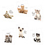 Cats Birthday Calendar