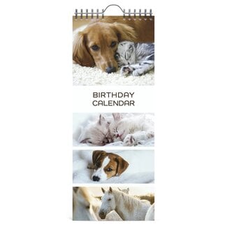 Lannoo My Favourite Friends Birthday Calendar