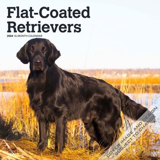 Browntrout Flatcoated Retriever Kalender 2024