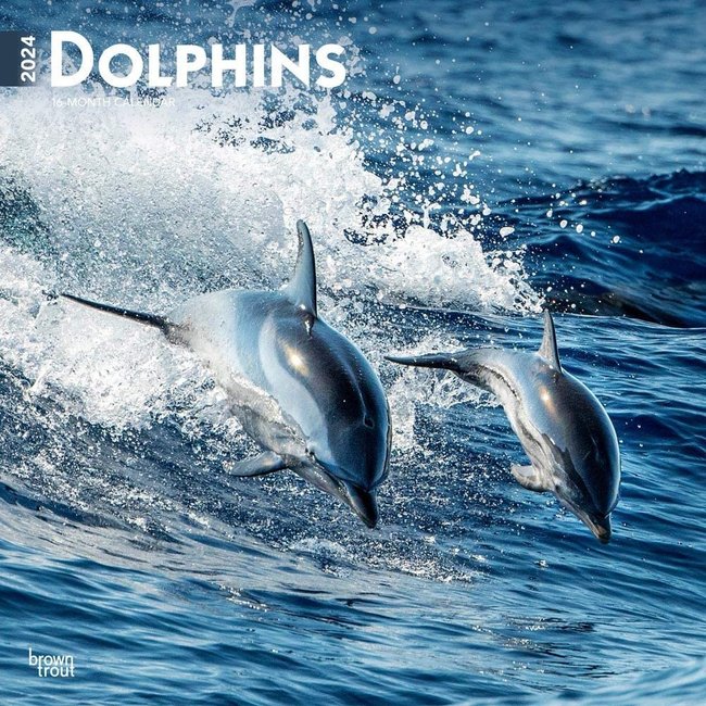 Browntrout Dolfijnen Kalender 2024