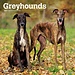 Browntrout Greyhound Kalender 2024