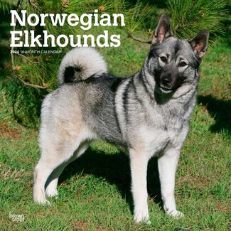 Browntrout Noorse Elandhond Kalender 2024