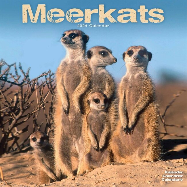 Avonside Meerkats Calendar 2025