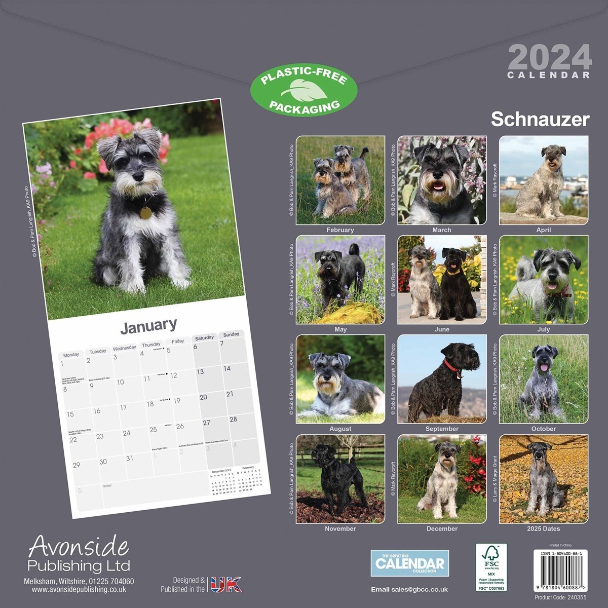 Full Grown Giant Schnauzer 2024 Schedule Raf Britteny