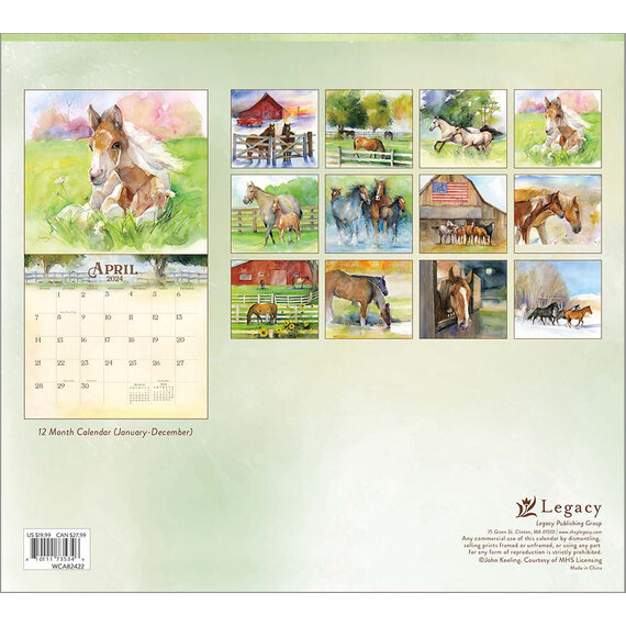 Calendrier mural Calendrier des chevaux - Dream Horses 2024