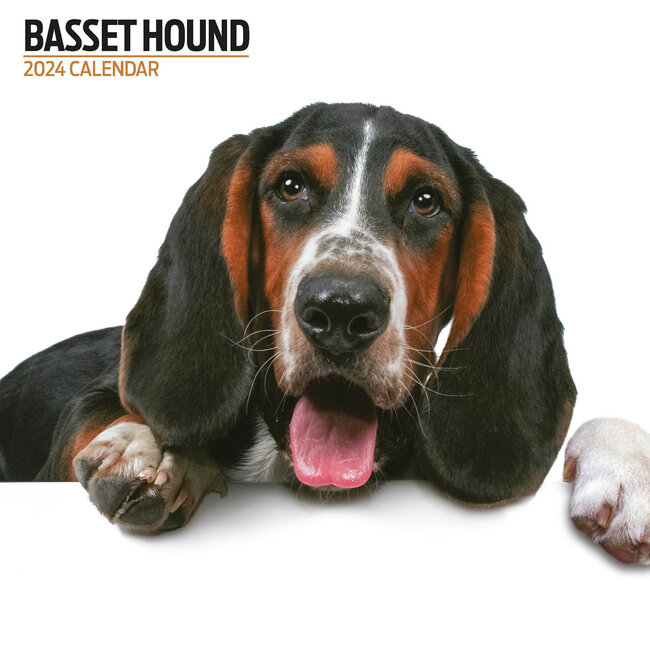 & Steel Basset Hound Calendar 2025 Modern