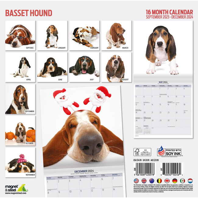 & Steel Calendario Basset Hound 2024 Moderno