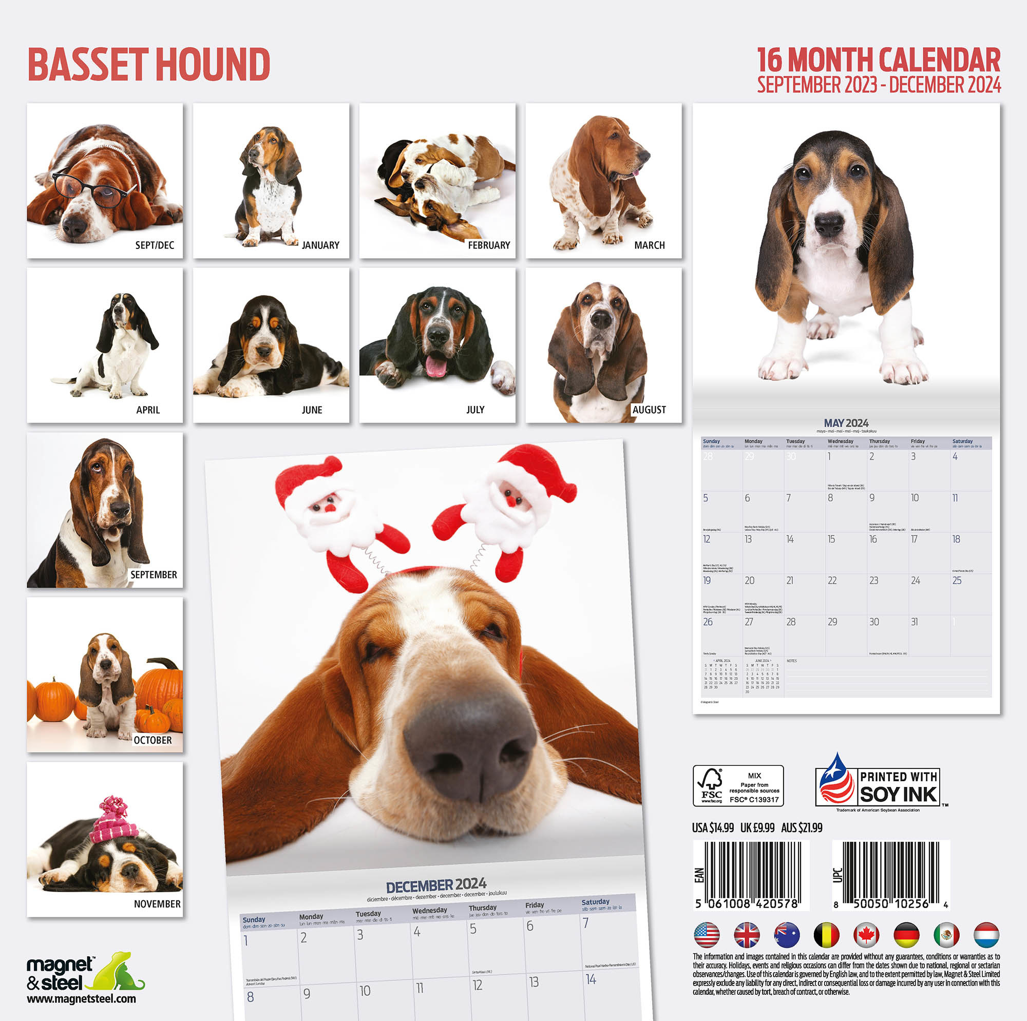 & Steel Basset Hound Calendario 2025 Moderno