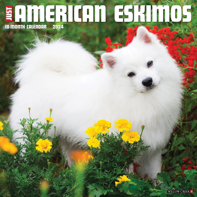 American Eskimo Calendar 2024 Buy Order easily online