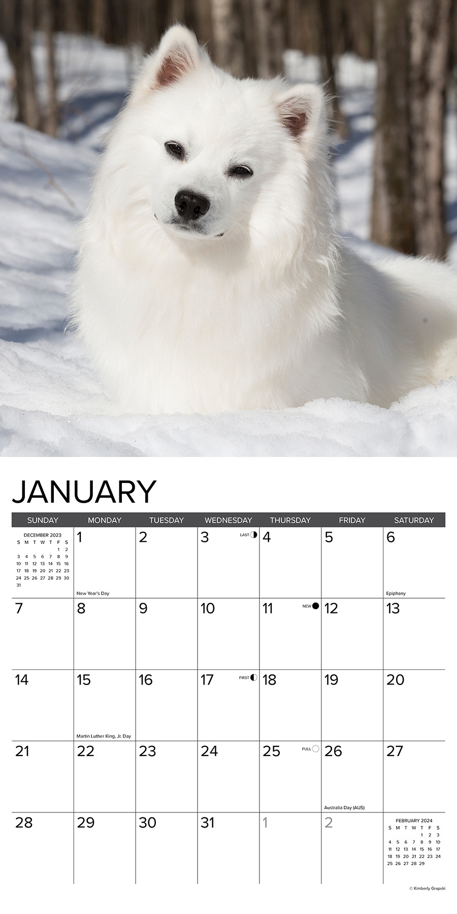 American Eskimo Calendar 2024 Buy Order easily online