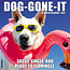 Calendario Dog-Gone-It 2025