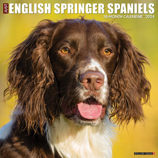 Willow Creek English Springer Spaniel Calendar 2024