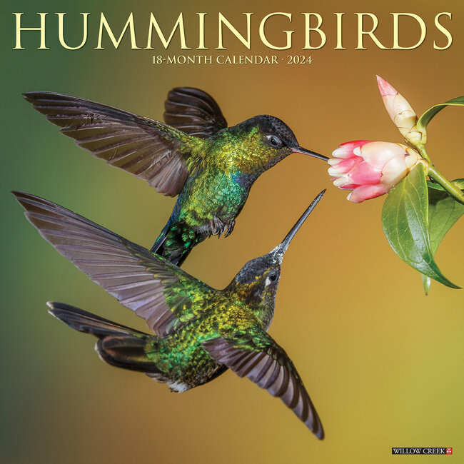 Hummingbirds Kalender 2024