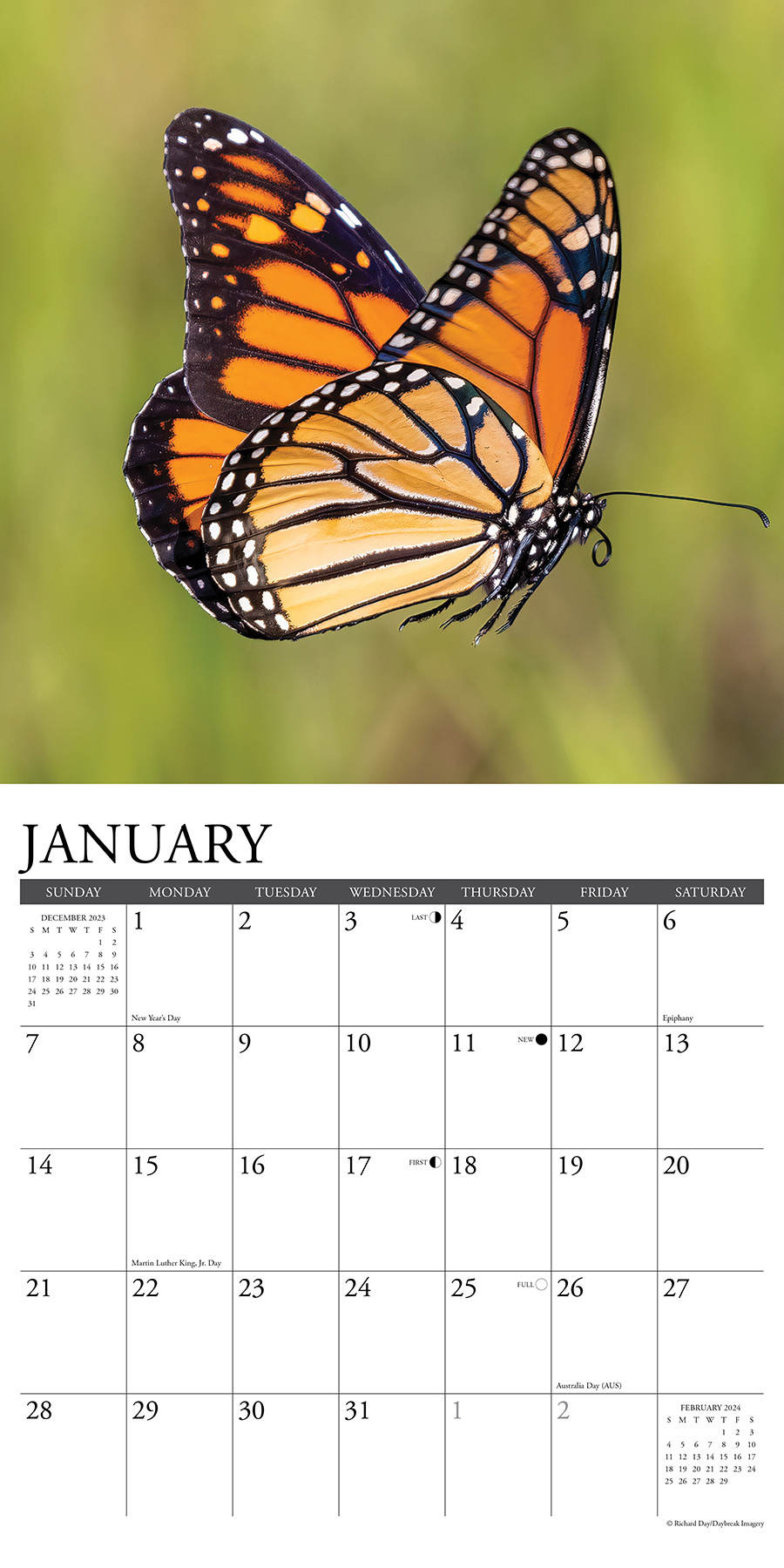 Butterfly Calendar 2024 Printable 2024 Calendar Printable
